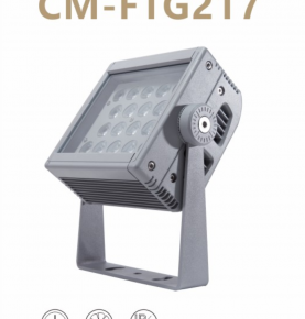 LED Flood Light FTG-217