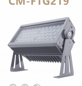 LED Flood Light FTG-219