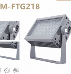 LED Flood Light FTG-218