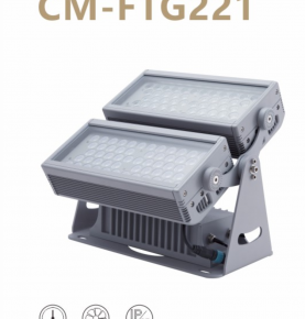 LED Flood Light FTG-221