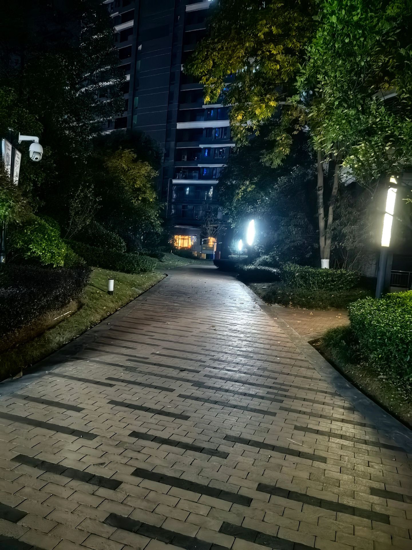 1785576455941836.jpg